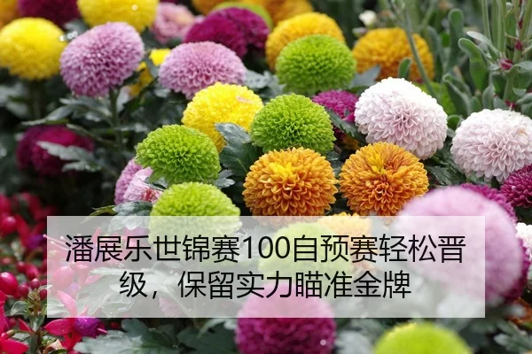 潘展乐世锦赛100自预赛轻松晋级，保留实力瞄准金牌